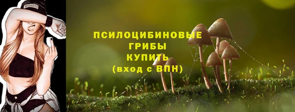 PSILOCYBIN Армянск