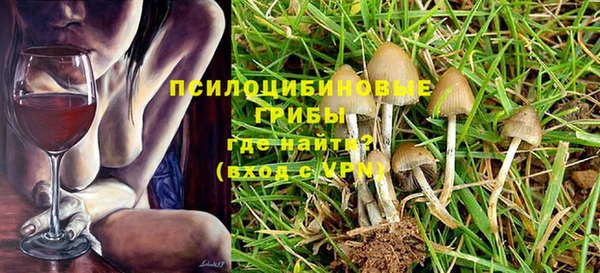 PSILOCYBIN Армянск