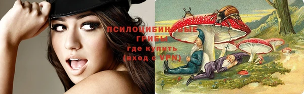 PSILOCYBIN Армянск